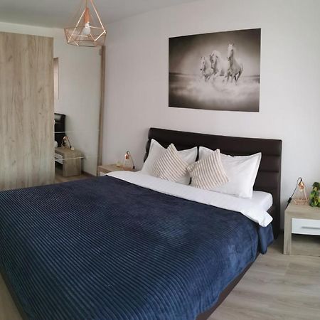 MariMonti Apartment Brașov Exterior foto